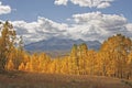 Lizard Head wilderness, Colorado Royalty Free Stock Photo