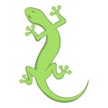 Lizard icon, cartoon style