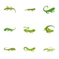 Lizard icon set, cartoon style