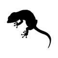 Lizard icon vector. Reptile illustration sign. cold blooded symbol or logo.