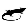 Lizard icon vector. Reptile illustration sign. cold blooded symbol or logo.