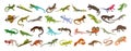 Lizard icons set cartoon . Chameleon gecko