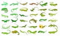 Lizard icons set, cartoon style