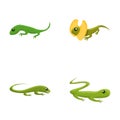 Lizard icons set cartoon vector. Green lizard