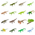 Lizard icons set, isometric 3d style Royalty Free Stock Photo