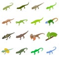 Lizard icons set, isometric 3d style