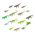 Lizard icons set, isometric 3d style Royalty Free Stock Photo