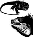 Lizard iguana set of silhouettes vector. Collection of animal icons Royalty Free Stock Photo