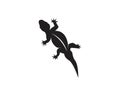 Lizard logo design vector illustration Royalty Free Stock Photo