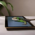 A lizard lounging on a tablet, watching a nature documentary about reptiles2