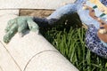 Lizard park Guell (Barcelona Spain) Royalty Free Stock Photo