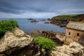 Lizard Point Royalty Free Stock Photo