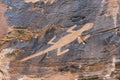 Lizard Rock art by ancient native Fremont Americans in Dinosaur Royalty Free Stock Photo