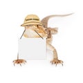 Lizard Safari Guide