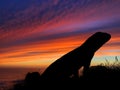 Lizard Silhouette Sunset Royalty Free Stock Photo