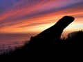 Lizard Silhouette Sunset Royalty Free Stock Photo
