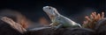 A lizard is sitting on a rock in the dark Royalty Free Stock Photo