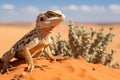 A lizard sitting on top of a striking red sand dune, against a backdrop of a clear blue sky, View of a lizard, a reptile in the Royalty Free Stock Photo