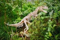 Lizard skeleton in greenhouse of czech botanical garden in Teplice with dream stylization Royalty Free Stock Photo