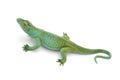 Lizard toy Royalty Free Stock Photo