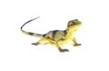 Lizard toy Royalty Free Stock Photo