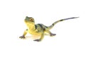 Lizard toy isolated on white Royalty Free Stock Photo