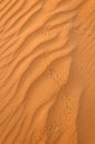 Lizard tracks on desert sand Royalty Free Stock Photo