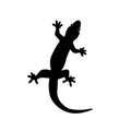 Lizard vector icon logo. Lizard symbols isolated on white