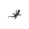 Lizard vector icon logo and symbols template - Vector.