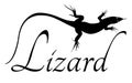 Lizard vector image