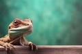 Lizard view colorful background. Generate Ai Royalty Free Stock Photo