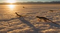 Lizards basking in the golden light of the setting sun on a salt flat Royalty Free Stock Photo