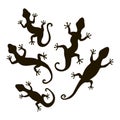 Lizards silhouette vector Royalty Free Stock Photo