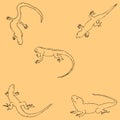 Lizards. Sketch by hand. Pencil drawing by hand. Vector image. The image is thin lines. Vintage