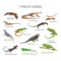 Lizards vector set in flat style design. Different kind of lizard reptile species icons collection.