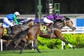 Lizarre 4th and Mull of Killough 5th at Singapore Airlines International Cup 2013