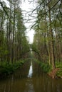 XINGHUA, CHINA: Lizhongshuishang forest or Li Zhong water forest is the natural ecological oxygen bar, is a good place for urban p