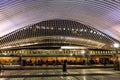 LiÃÂ¨ge (Luttich, Luik) railway station, designed by Santiago Calatrava