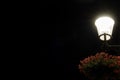 Street lamp and flowers at night Royalty Free Stock Photo