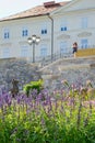 Ljubljana, Slovenia - August 16, 2018: Some colorful flowers and a tourist in front of the Tivoli Castle at Tivoli Park