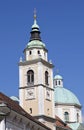 Ljubljana St. Nicholas cathedral