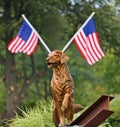 9/ll Statue Honors Search and Rescue Dogs Royalty Free Stock Photo