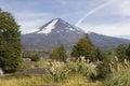 Llaima volcano in Conguillio park