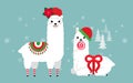 Cute llama and alpaca with Christmas holidays theme. Cute design for nursery, poster, Merry Christmas, birthday greeting card. Royalty Free Stock Photo