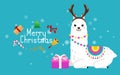 Cute llama and alpaca with Christmas holidays theme. Cute design for nursery, poster, Merry Christmas, birthday greeting card. Royalty Free Stock Photo