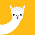 Llama alpaca animal face, long neck. Cute cartoon funny kawaii character. Fluffy hair fur. T-shirt, greeting card, poster template