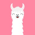 Llama alpaca animal face neck. Fluffy hair fur. Cute cartoon funny kawaii smiling character. Childish baby collection. T-shirt, gr