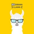 Llama alpaca animal face wearing sun glasses. No drama. Cute cartoon funny kawaii character. Childish baby collection. T-shirt, Royalty Free Stock Photo