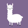 Llama alpaca. Cute cartoon funny kawaii baby character. White fluffy hair fur. Childish collection. T-shirt, greeting card, poster Royalty Free Stock Photo