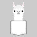 Llama alpaca face head in the pocket. Cute cartoon animals. Dash line. Kawaii character. White and black color. T-shirt design.